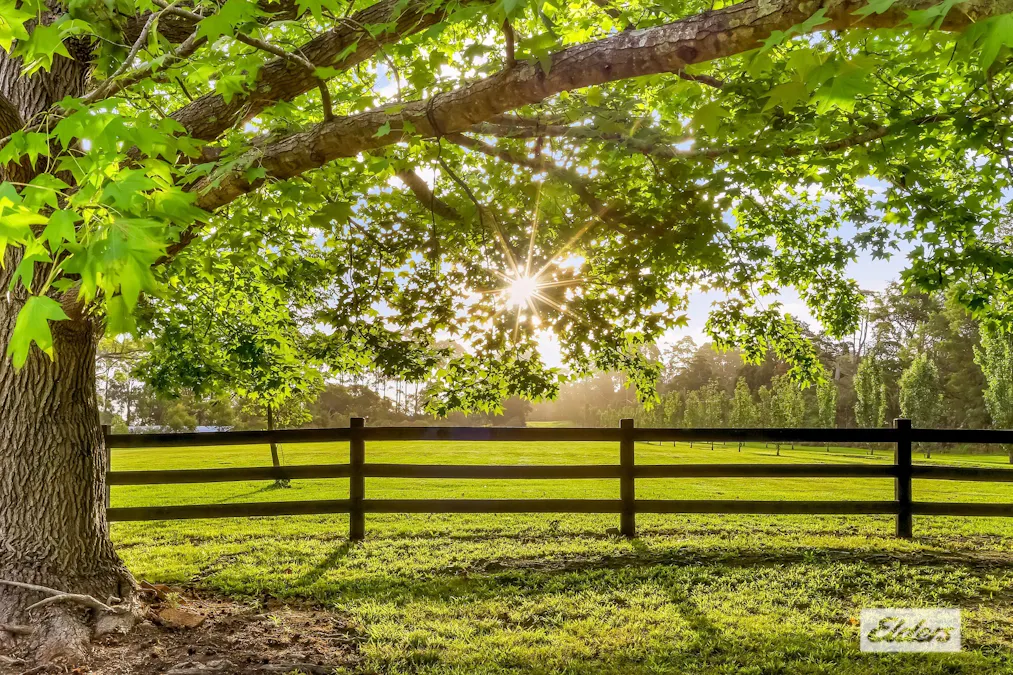 380 George Downes Drive, Central Mangrove, NSW, 2250 - Image 14