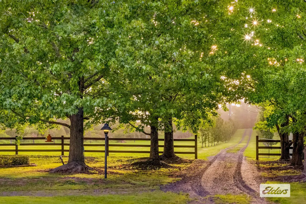 380 George Downes Drive, Central Mangrove, NSW, 2250 - Image 15