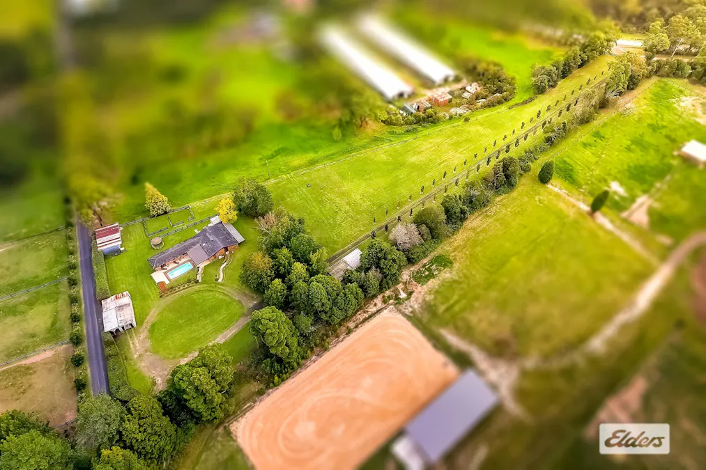 380 George Downes Drive, Central Mangrove, NSW, 2250 - Image 2