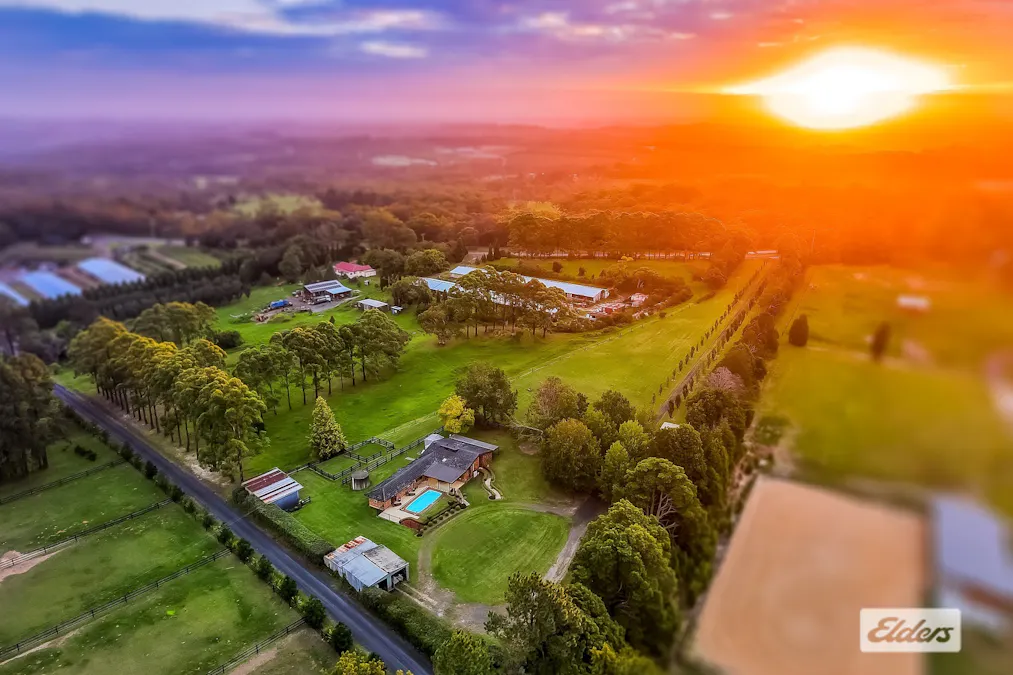 380 George Downes Drive, Central Mangrove, NSW, 2250 - Image 28