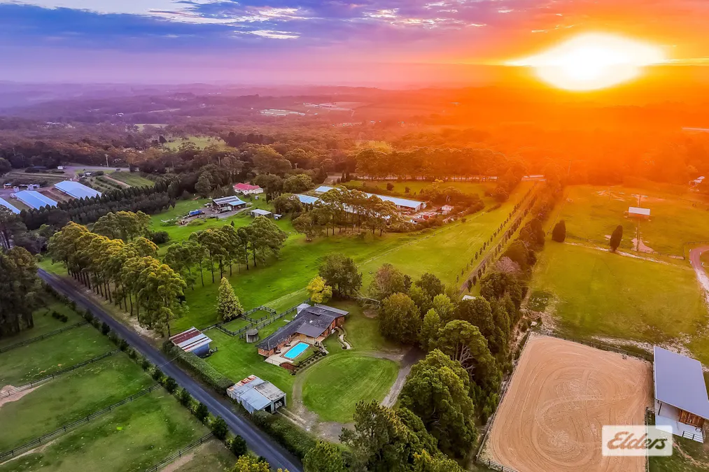 380 George Downes Drive, Central Mangrove, NSW, 2250 - Image 35