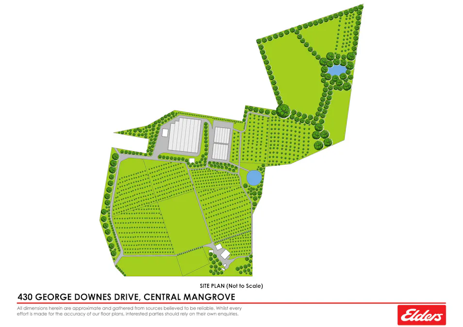 430 George Downes Drive, Central Mangrove, NSW, 2250 - Floorplan 1
