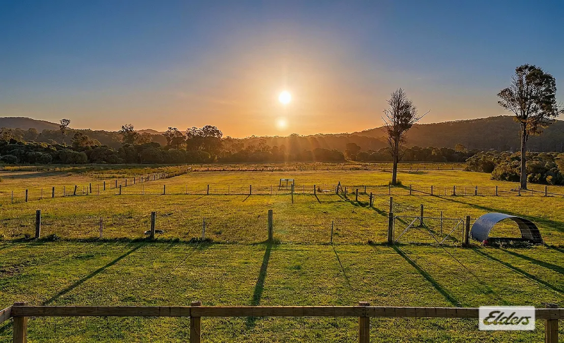 358  Dicksons Road, Jilliby, NSW, 2259 - Image 10