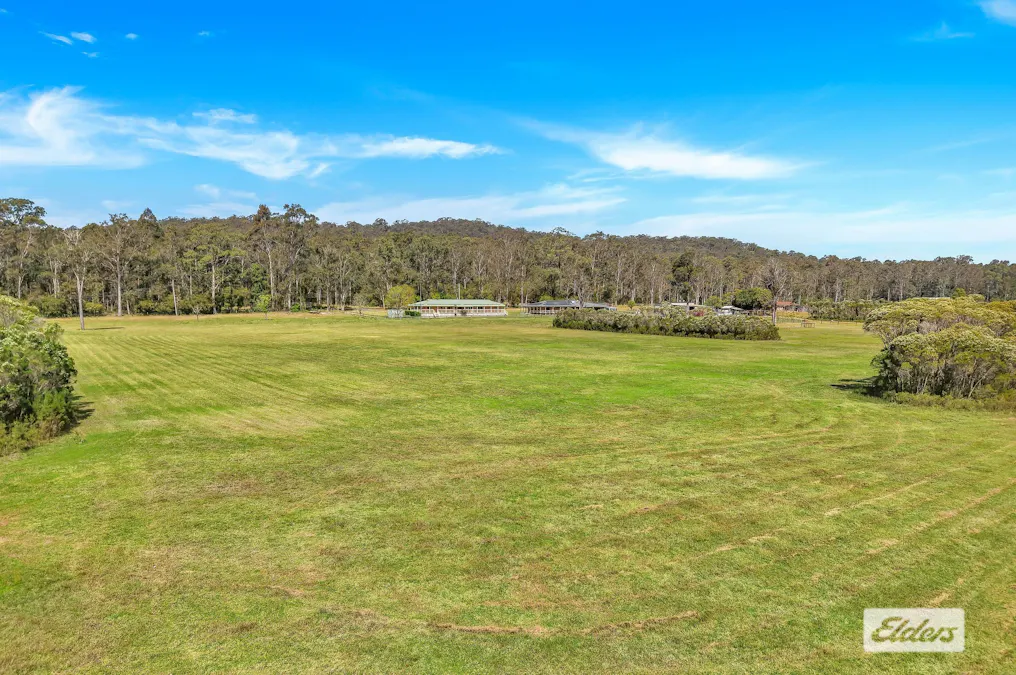 358  Dicksons Road, Jilliby, NSW, 2259 - Image 3