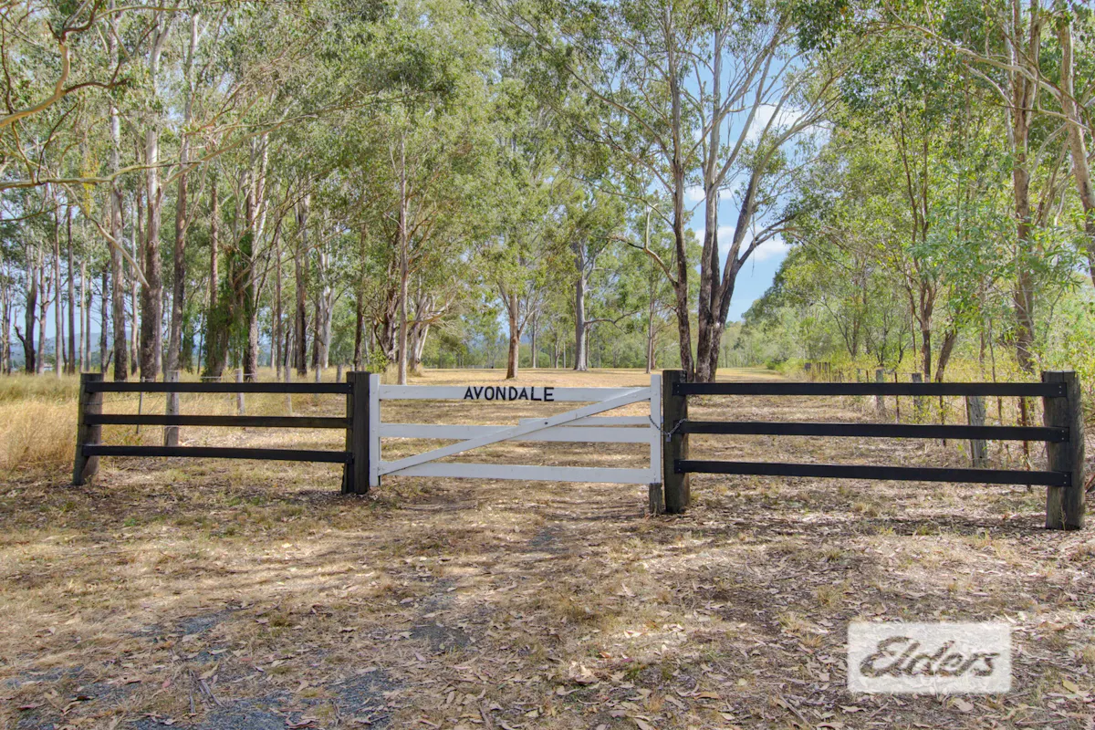 Mount Lindesay Highway — photo 2 of 4