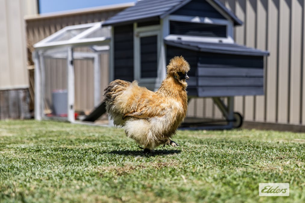 46 Tallowood Street, Rushforth, NSW, 2460 - Image 28