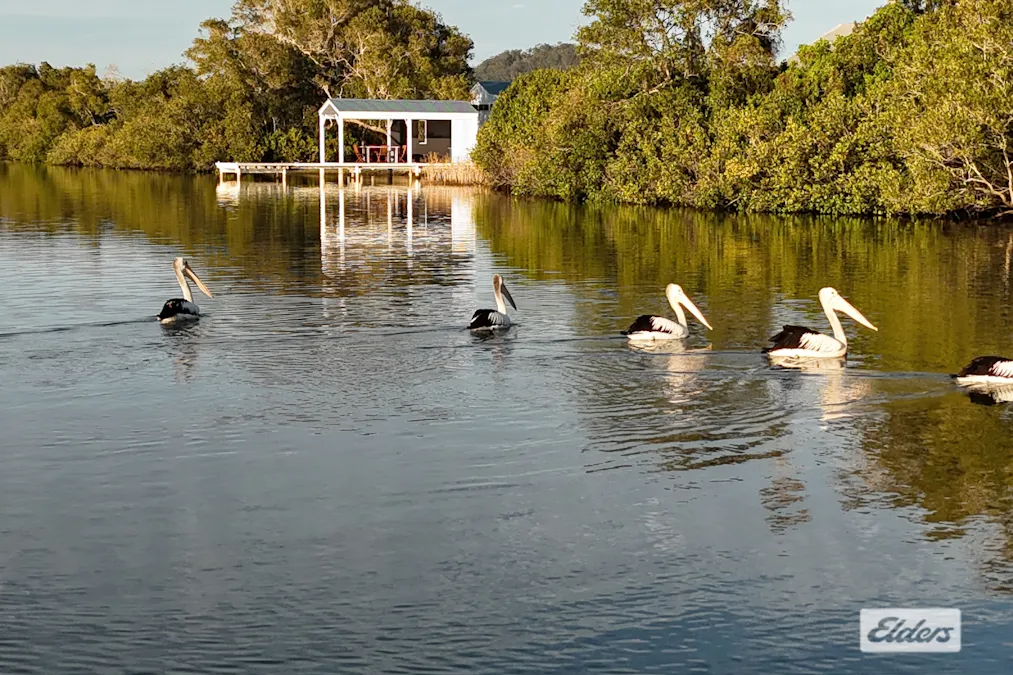 176 Ashby Island Road, Ashby Island, NSW, 2463 - Image 5