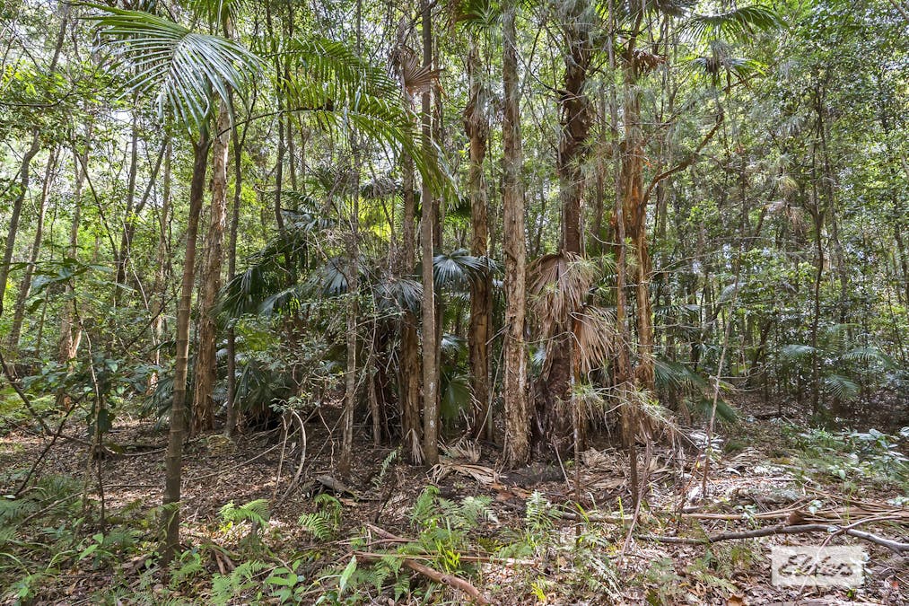 48-60 Dales Road, Chevallum, QLD, 4555 - Image 14