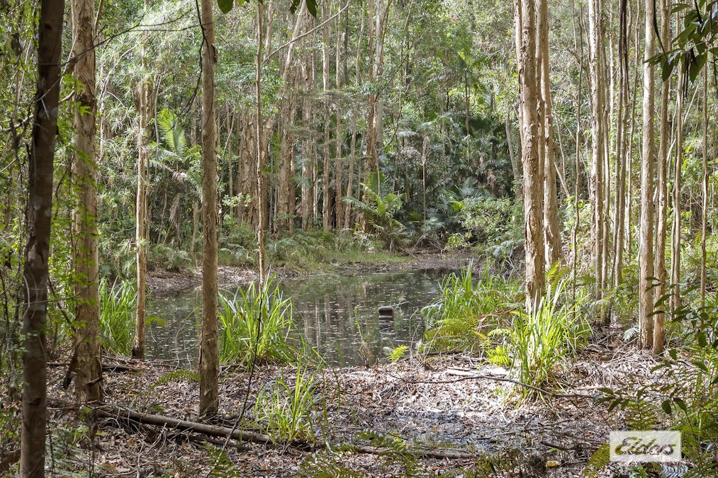 48-60 Dales Road, Chevallum, QLD, 4555 - Image 13