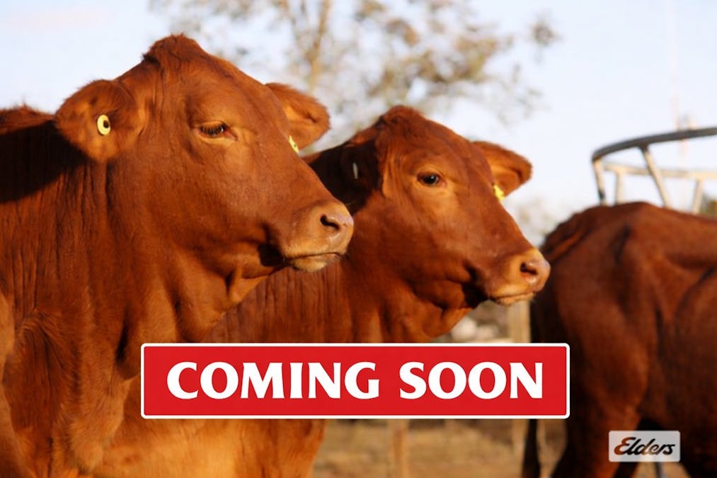 Kidaman Creek, QLD, 4574 - Image 1