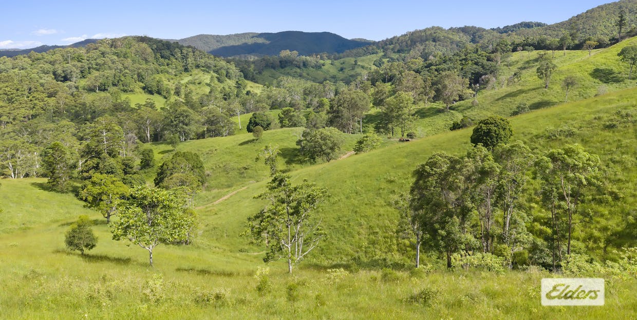 Perrys Road, Kidaman Creek, QLD, 4574 - Image 3