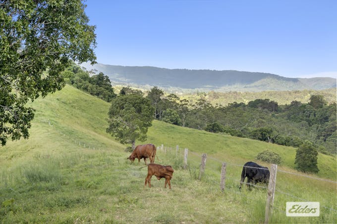 Perrys Road, Kidaman Creek, QLD, 4574 - Image 1