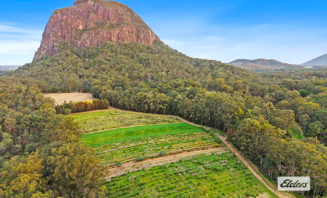 171 Barrs Road, Glass House Mountains, QLD, 4518 - Image 20