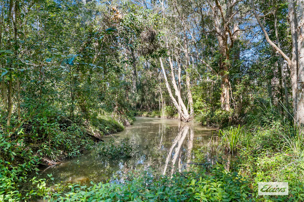 154 Redwood Road, Doonan, QLD, 4562 - Image 12