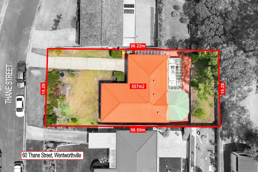 60 Thane Street, Wentworthville, NSW, 2145 - Image 10