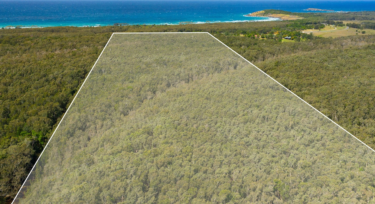 632 Point Plomer Road, Crescent Head, NSW, 2440 - Image 12