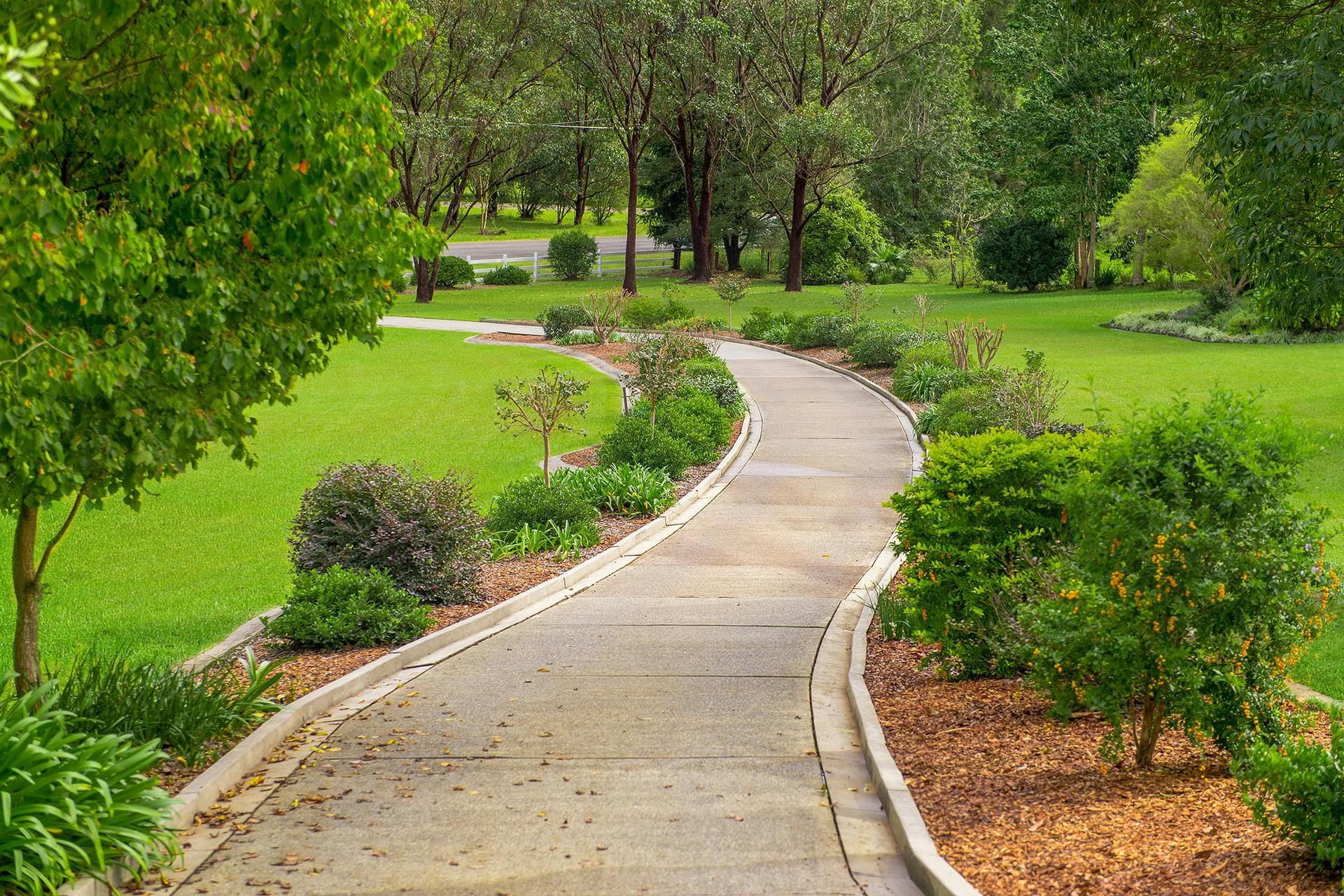 23 Allen Johnson Close, Sancrox, NSW, 2446 Sold Elders Real Estate