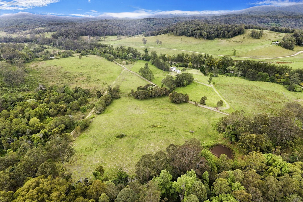83 Boonanghi Forest Road, Wittitrin, NSW, 2440 - Image 21