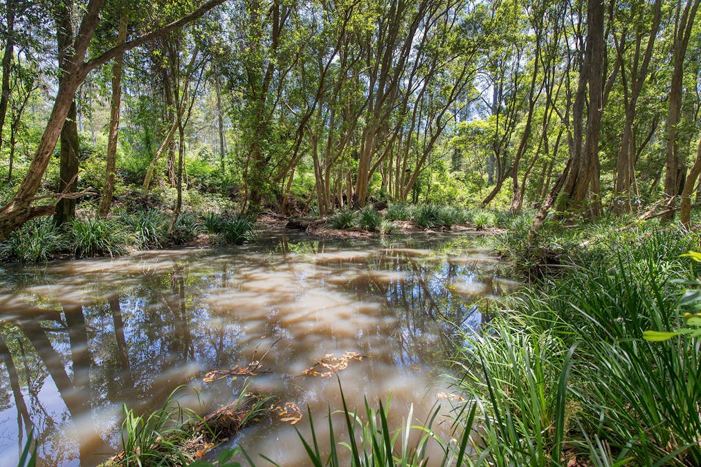 180 Upper Smiths Creek Road, Kundabung, NSW, 2441 Sold Elders Real