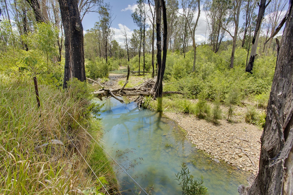 230 Stony Creek Lane, Temagog, NSW, 2440 - Image 5