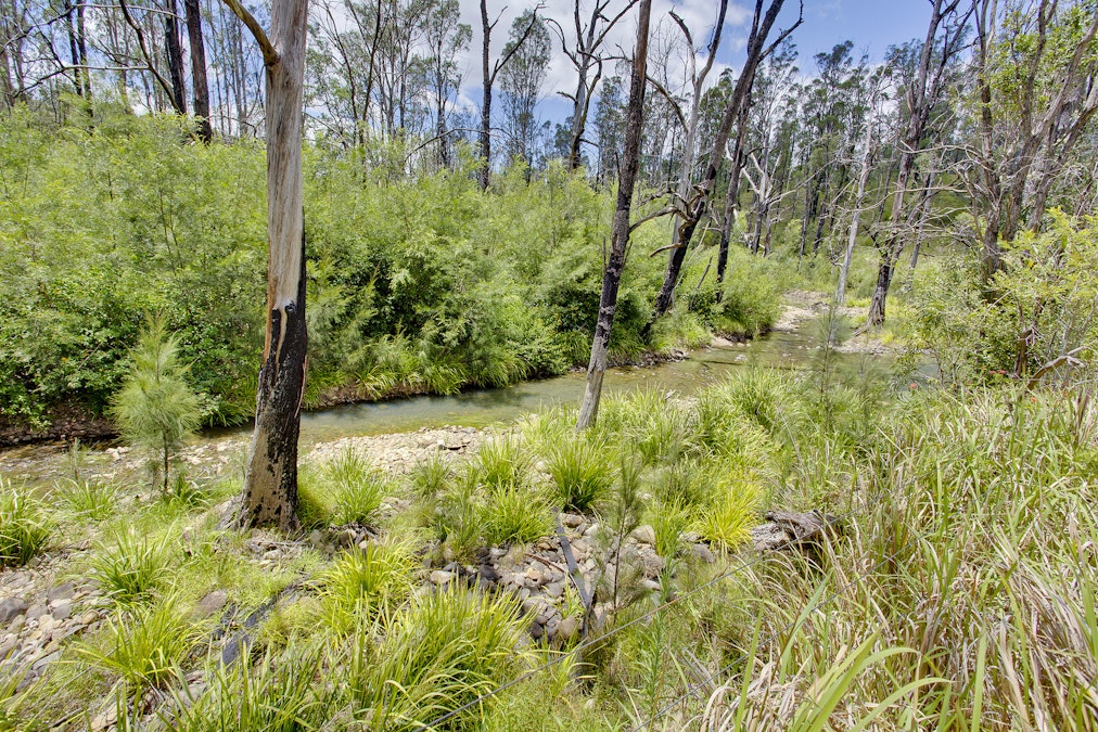 230 Stony Creek Lane, Temagog, NSW, 2440 - Image 8