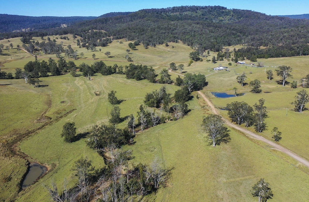 2788 Kangaroo Creek Road, Kangaroo Creek, NSW, 2460 - Image 26