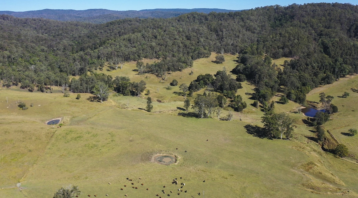 2788 Kangaroo Creek Road, Kangaroo Creek, NSW, 2460 - Image 35