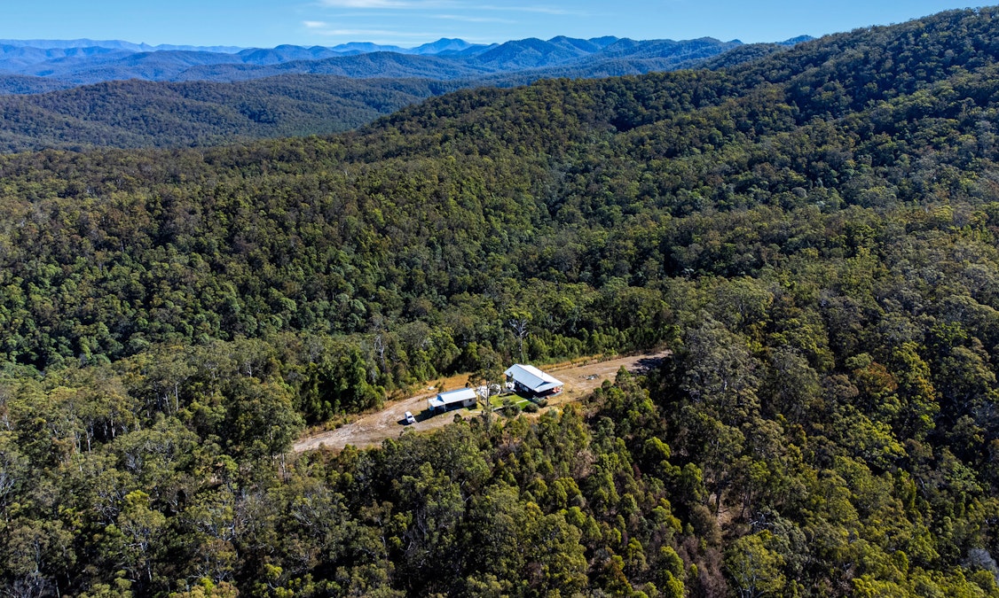 60 Boonanghi Forest Road, Wittitrin, NSW, 2440 - Image 21