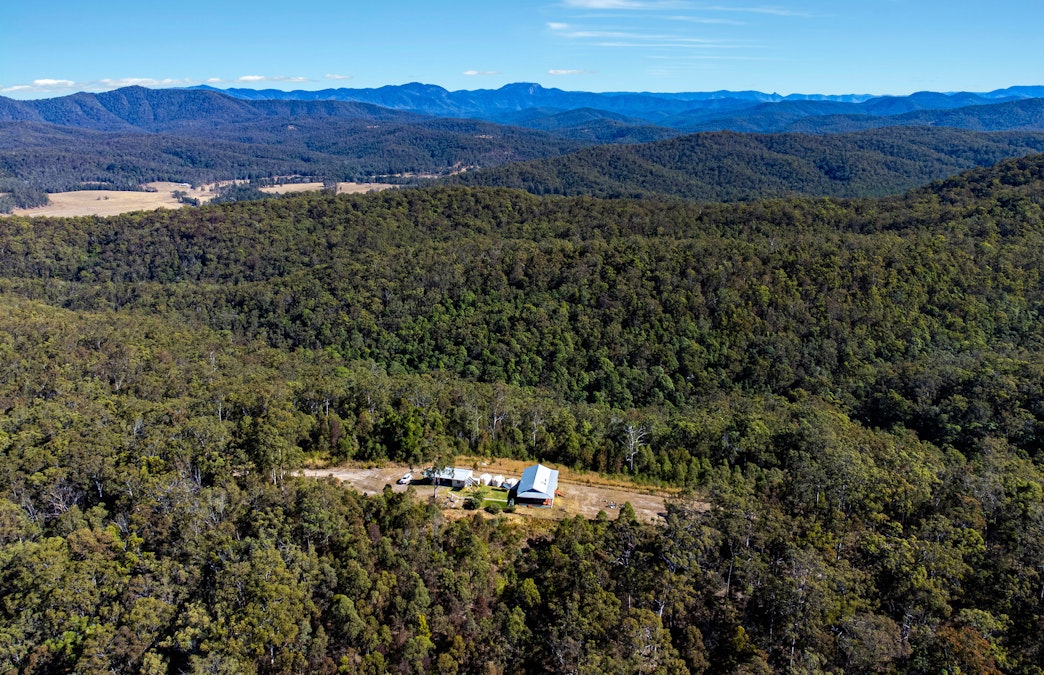 60 Boonanghi Forest Road, Wittitrin, NSW, 2440 - Image 20