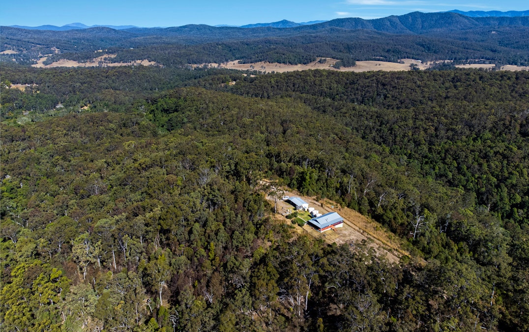 60 Boonanghi Forest Road, Wittitrin, NSW, 2440 - Image 23