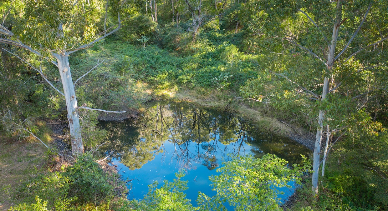824 Batar Creek Road, Batar Creek, NSW, 2439 - Image 14