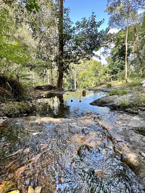 76 Maso Road, Repentance Creek, NSW, 2480 - Image 28