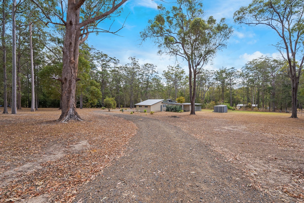 47 Brushbox Crescent, Yarravel, NSW, 2440 - Image 7