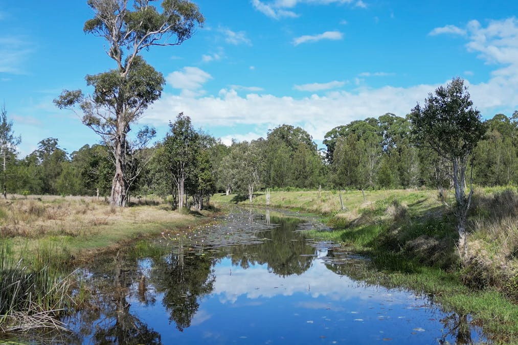 130 Fitzgeralds Lane, Tyndale, NSW, 2460 - Image 32