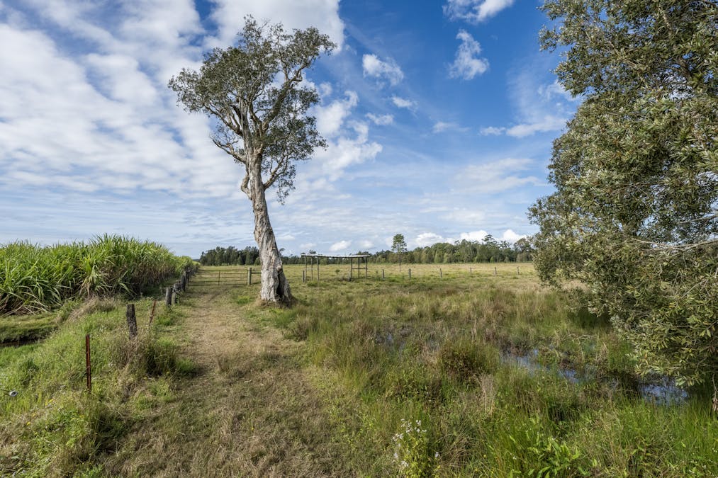 130 Fitzgeralds Lane, Tyndale, NSW, 2460 - Image 35