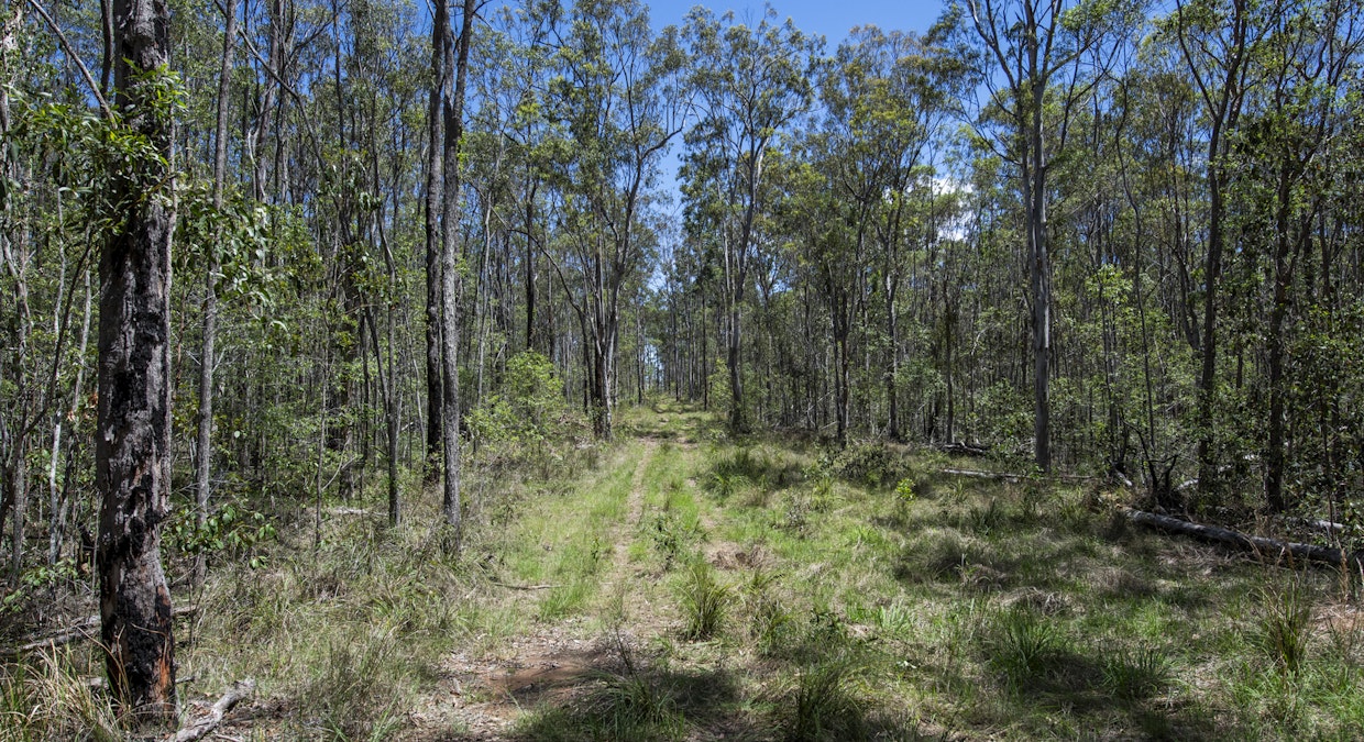 8/313 Coaldale Road, Fortis Creek, NSW, 2460 - Image 5