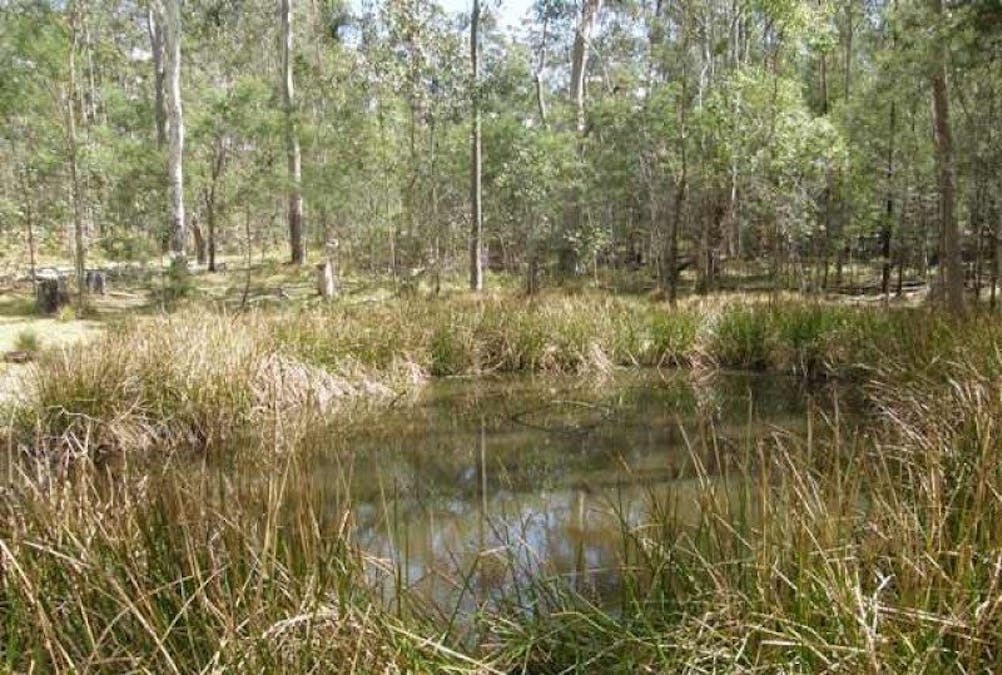 3266 Blacksmith Shop Road, Newton Boyd, NSW, 2370 - Image 1