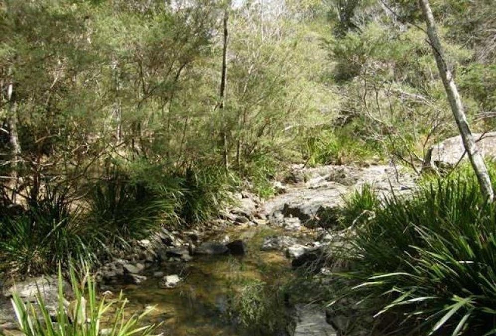 3266 Blacksmith Shop Road, Newton Boyd, NSW, 2370 - Image 2