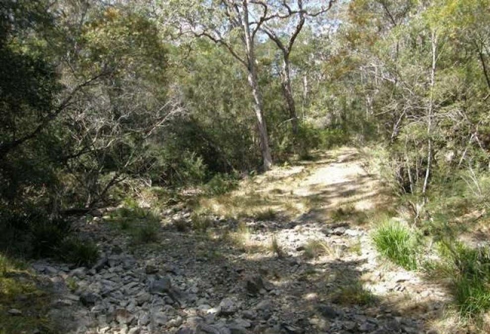 3266 Blacksmith Shop Road, Newton Boyd, NSW, 2370 - Image 3