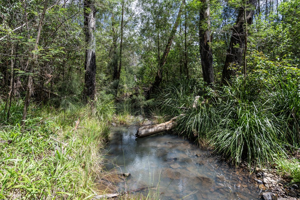 3422 Gwydir Highway, Jackadgery, NSW, 2460 - Image 13