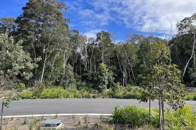 14 Yaegl Crescent, Iluka, NSW, 2466 - Image 1