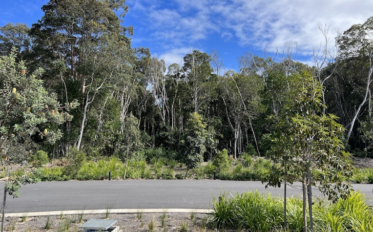 14 Yaegl Crescent, Iluka, NSW, 2466 - Image 1