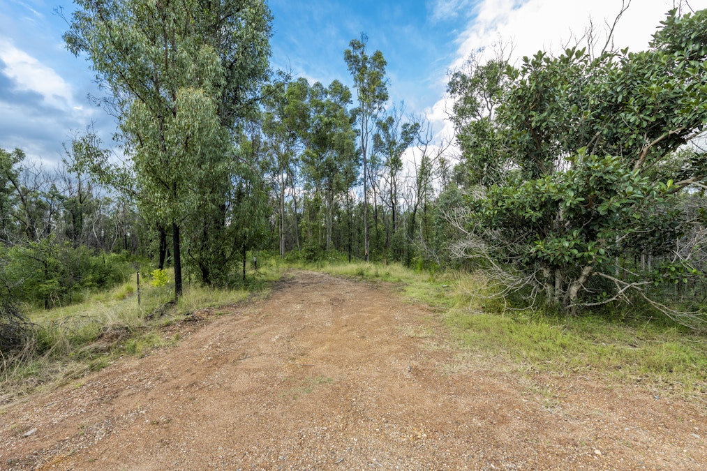 484 Glens Creek Road, Nymboida, NSW, 2460 - Image 6