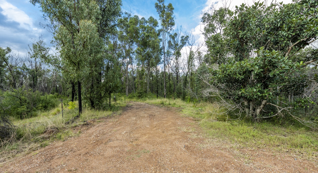 484 Glens Creek Road, Nymboida, NSW, 2460 - Image 6