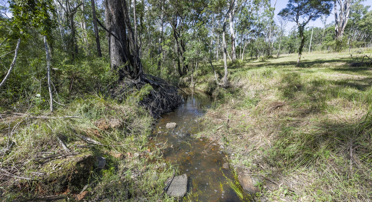 1372 Clarence Way, Whiteman Creek, NSW, 2460 - Image 14