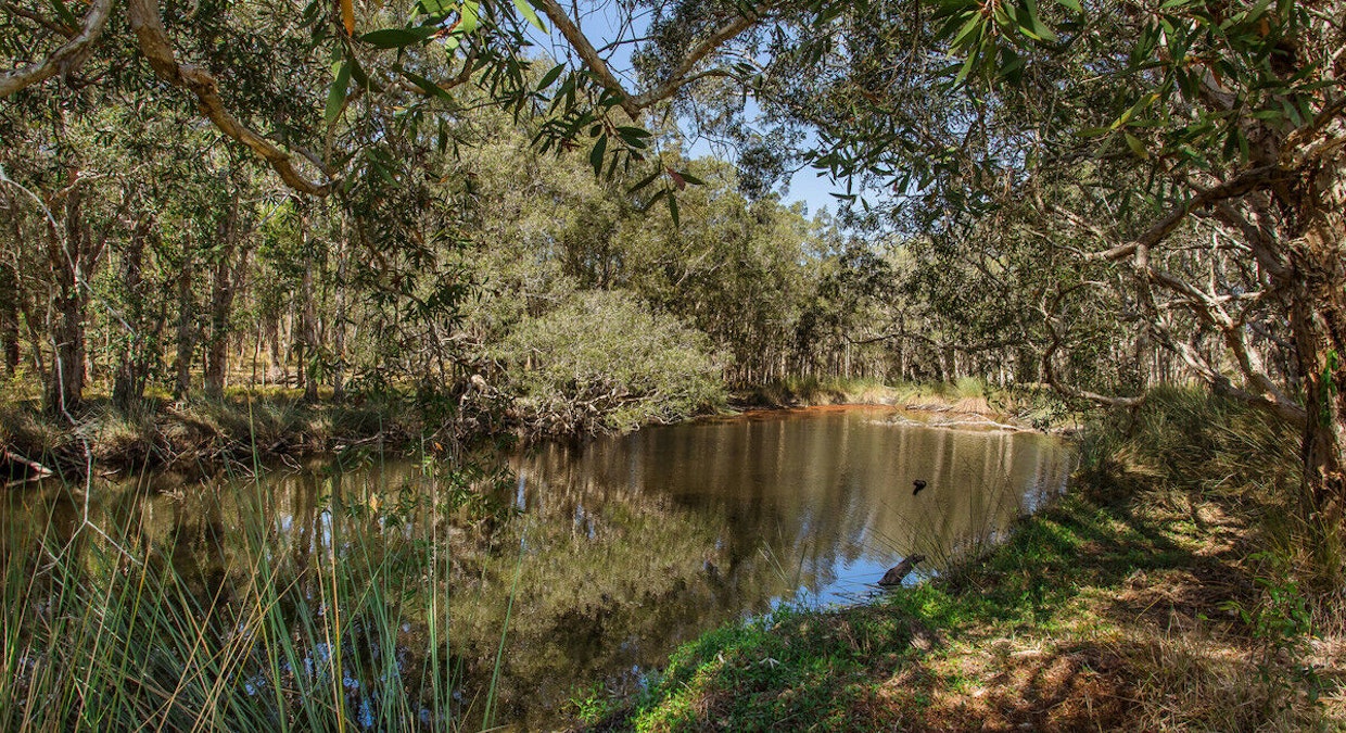 71 Red Root Road, Pillar Valley, NSW, 2462 - Image 8