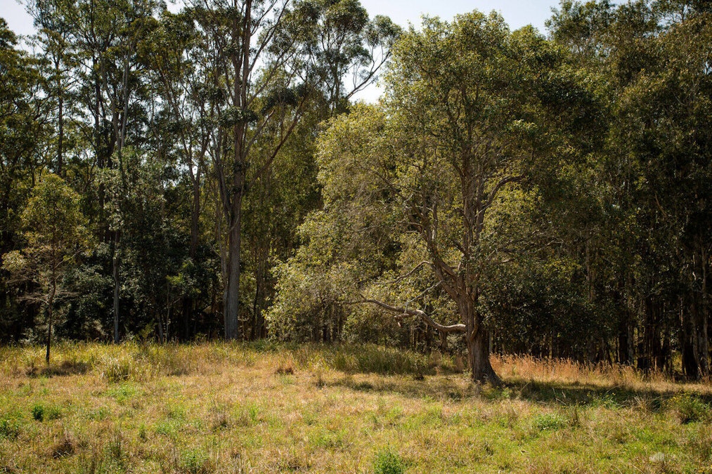 71 Red Root Road, Pillar Valley, NSW, 2462 - Image 14