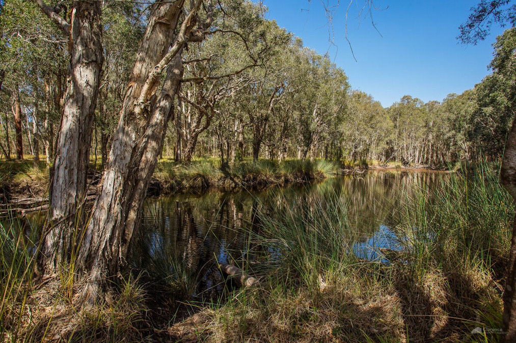 71 Red Root Road, Pillar Valley, NSW, 2462 - Image 28