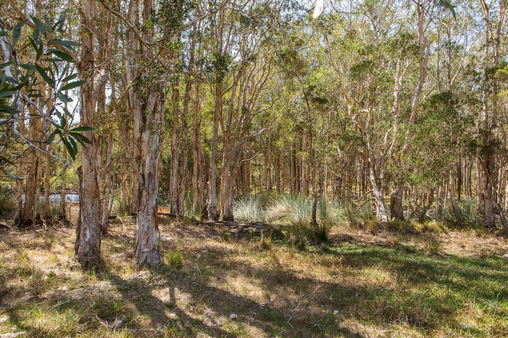 71 Red Root Road, Pillar Valley, NSW, 2462 - Image 30