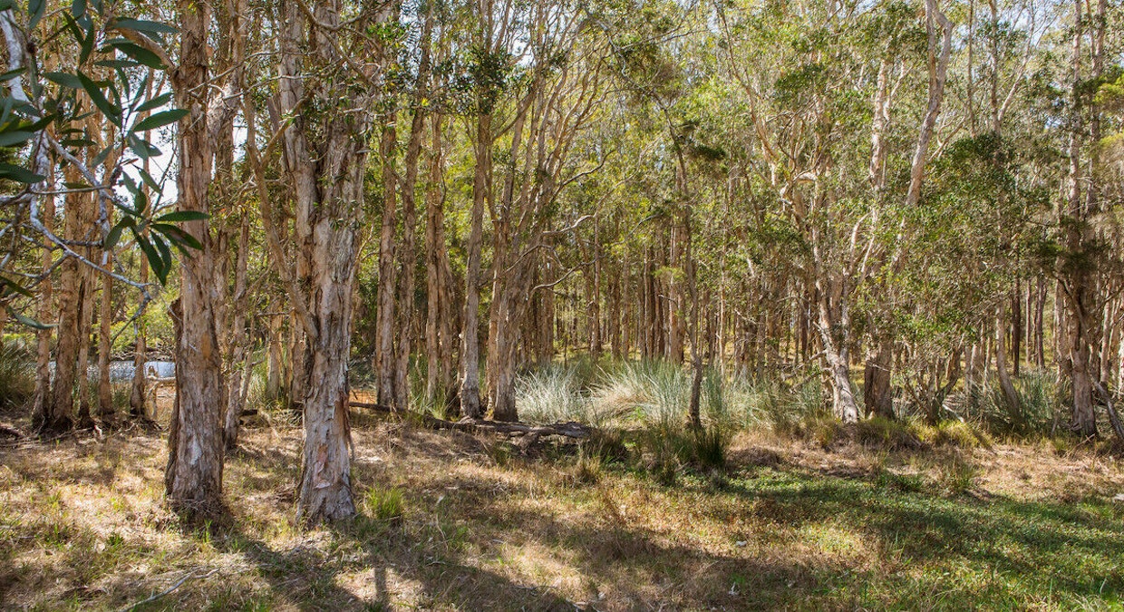 71 Red Root Road, Pillar Valley, NSW, 2462 - Image 30
